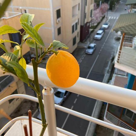 Nora Apartments ドゥラス エクステリア 写真